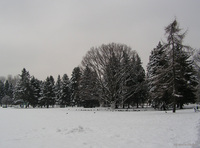 Park_Jordana_03.jpg