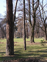 Park_Jordana_05.jpg