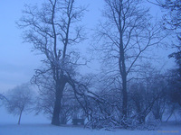 Park_Jordana_06.jpg