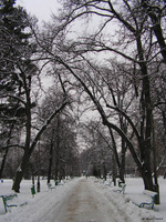Park_Jordana_08.jpg