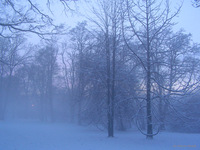 Park_Jordana_10.jpg