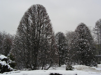 Park_Jordana_12.jpg
