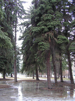 Park_Jordana_13.jpg