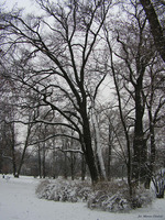 Park_Jordana_14.jpg