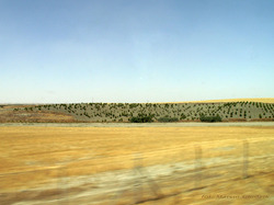 Filename=HiszpaniaKastylia00.jpg
Filesize=136KiB
Dimensions=1024x768
Date added=Aug 27, 2026 HiszpaniaKastylia00.jpg