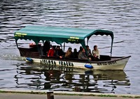 Tramwaj_Wodny_KR-02-0051_Zielona_Skalka_00.jpg