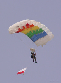 skoczek_01.jpg