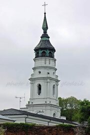 ChelmWiezaBazylikaNNMP01.jpg